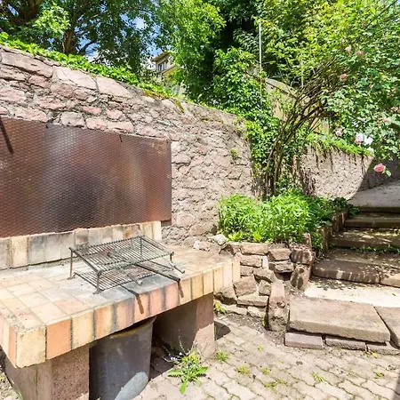 Studio Avec Terrasse Et Wifi A Saint Die Des Vosges * Saint-Die-des-Vosges
